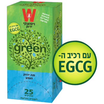 תה ירוק עם נענע ויסוצקי