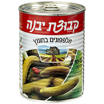 מלפפון בחומץ בינוני 10-12 קבוצת יבנה