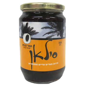 סילאן כנרת 