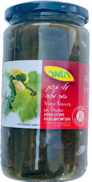 עלי גפן בצנצנת