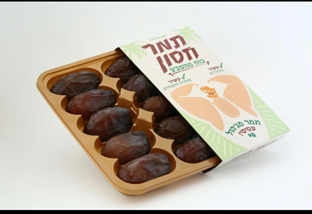 תמר מג׳הול - תמר חסון 