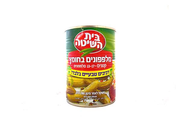 מלפפונים בחומץ 13-17 בית השיטה