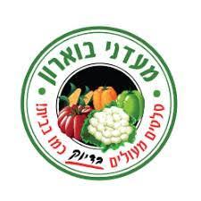 סלט גזר מרוקאי סלטי בוארון