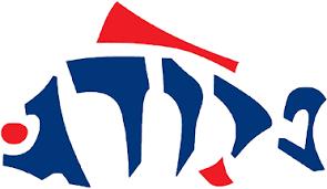 גזר מרוקאי מעדני פרו דג 500 גרם