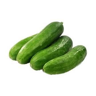 מלפפון
